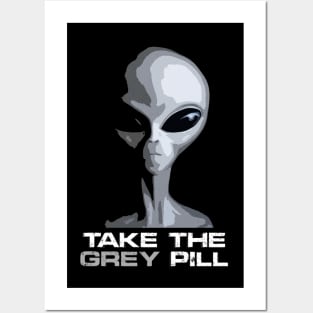 Take the GREY pill. Posters and Art